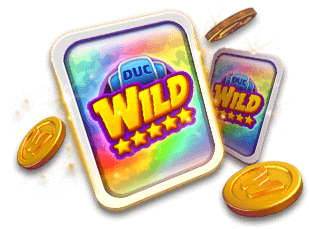 WILD CARDS