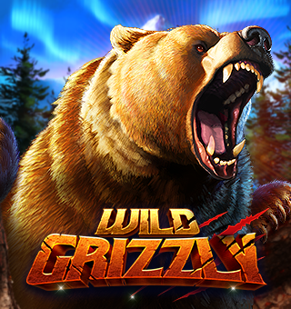 wild_grizzly